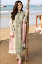SR-CH10 Embroidered ChickenKari Lawn Suit With Printed Organza Dupatta