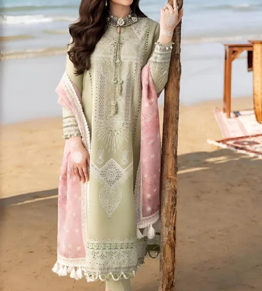 SR-CH10 Embroidered ChickenKari Lawn Suit With Printed Organza Dupatta